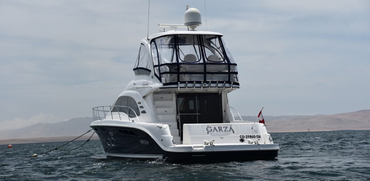 Luxury Cruise Ballestas Islands
