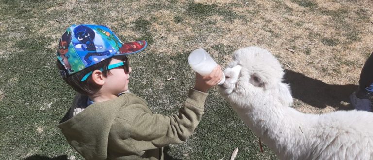Peru with Kids