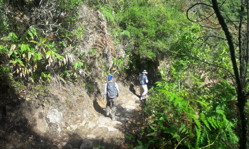 Two hikers descending stone path on Inca Trail