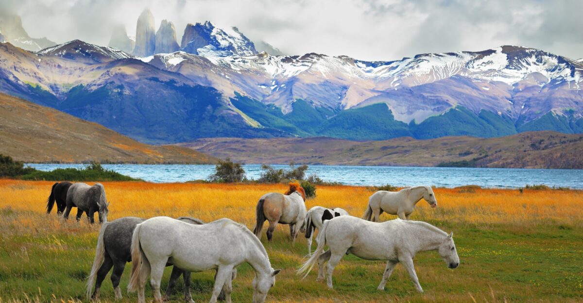 Torres del Paine - Banner 1