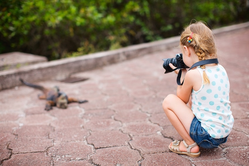 little girl taking photo of Iguana