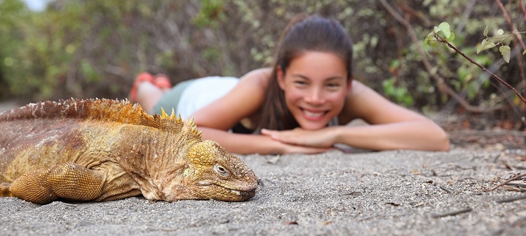 Tourist,People,Enjoying,Wildlife,And,Nature,Looking,At,Galapagos,Land