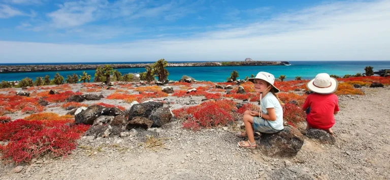 Galapagos Family Trip 2023 - Header Img - Two children at a scenic beach view point in the galapagos