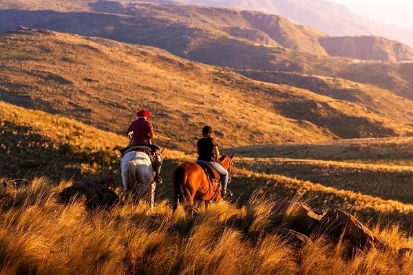 Estancia-Los-Potreros-Horseback-Riding