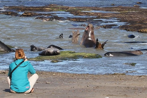 Estancia-Rincon-Chico-Peninsula-Valdes-1