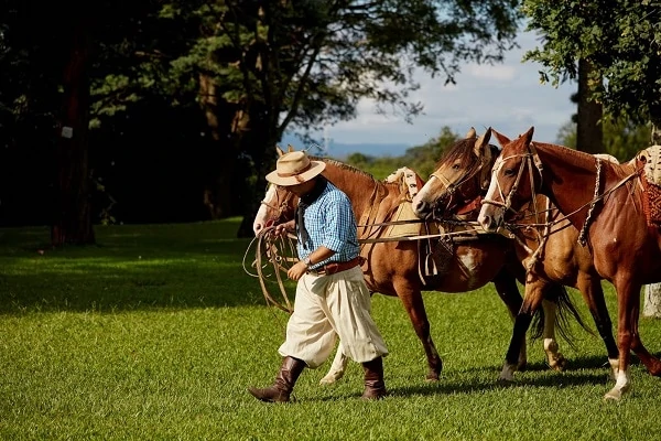 House-of-Jasmines-Gaucho
