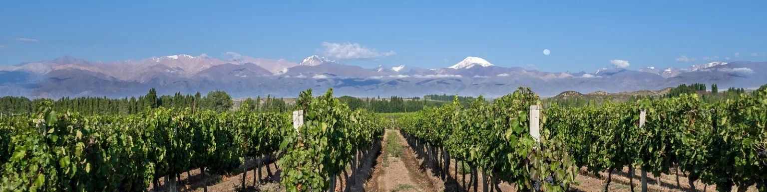 Mendoza-Luxury-Wine-Tours