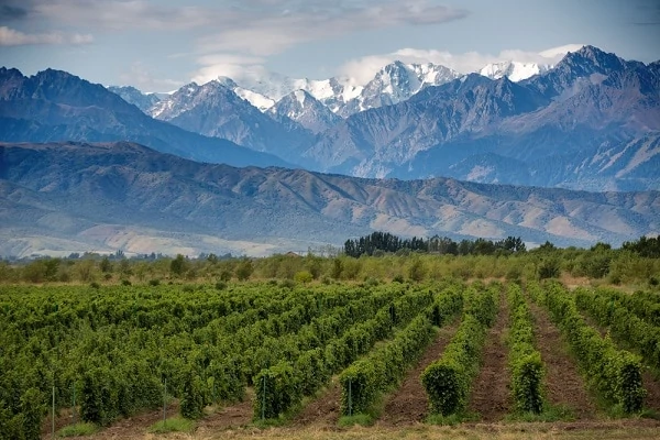 Mendoza-Mountains-1