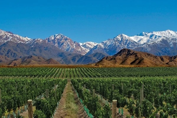 Vineyards-Casa-de-Uco-1