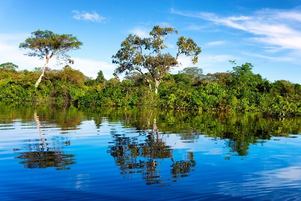 Brazilian-Rainforest-Manaus