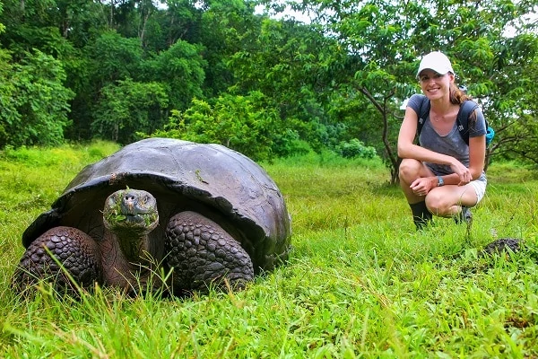 Giant-Galapagos-Tortoise-Santa-Cruz-Island