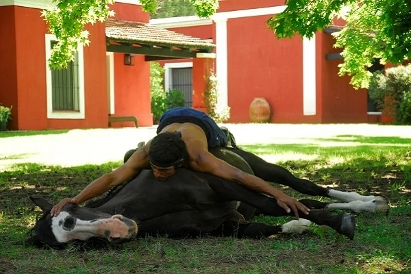 La-Bamba-de-Areco-Gaucho