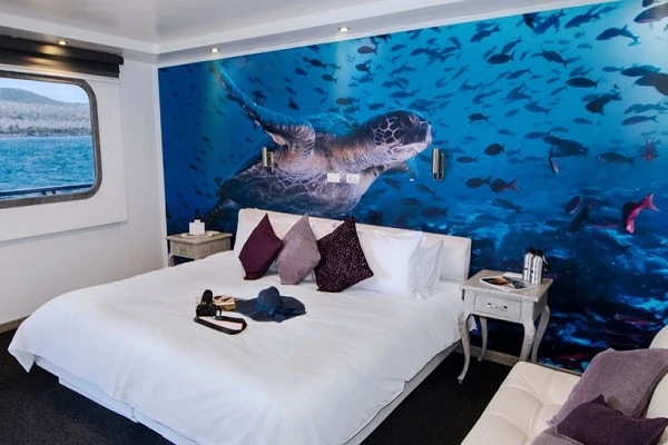 Luxury-Galapagos-Cruise