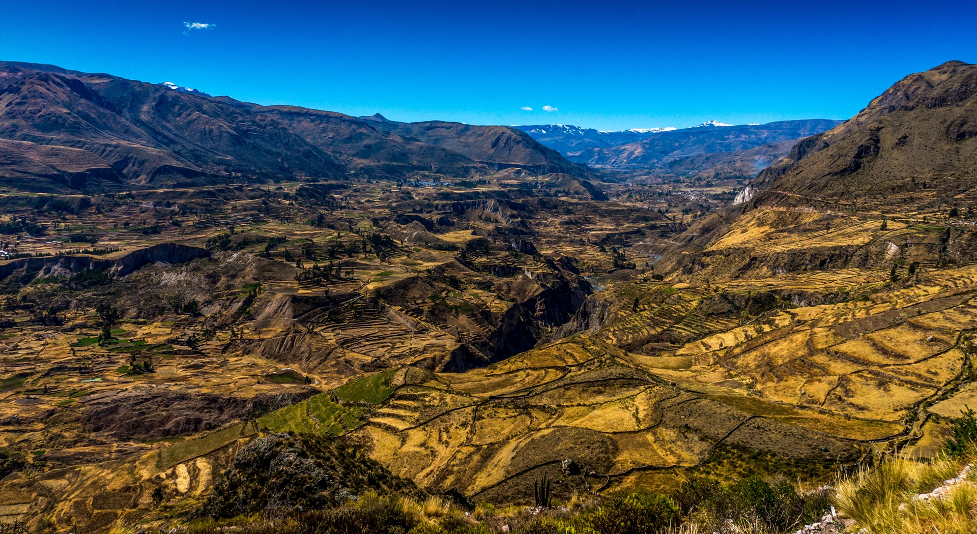 Machu Picchu & Colca Canyon (12 Days)