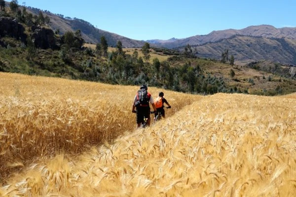 Mountain-biking-tours-in-Peru-7-600x400-1