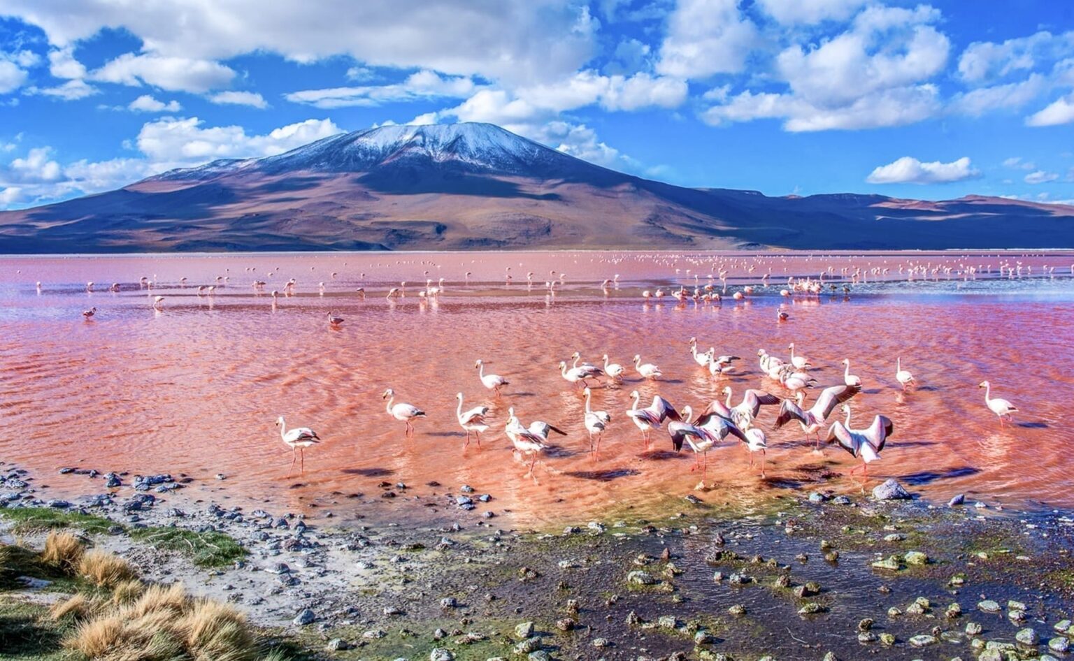 Santiago de Chile & Essential San Pedro de Atacama (8 Days)