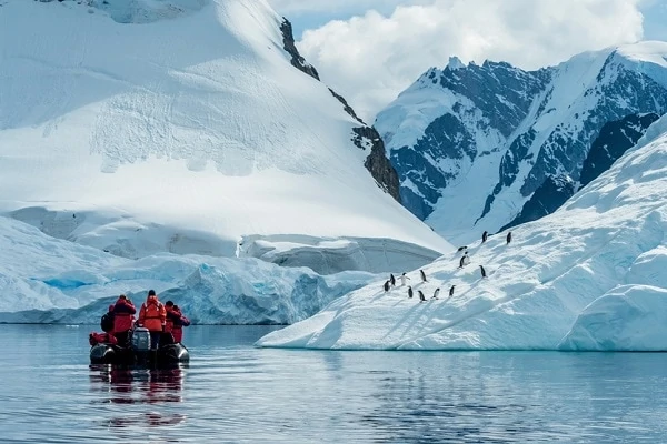 Zodiac-Excursion-Antarctica