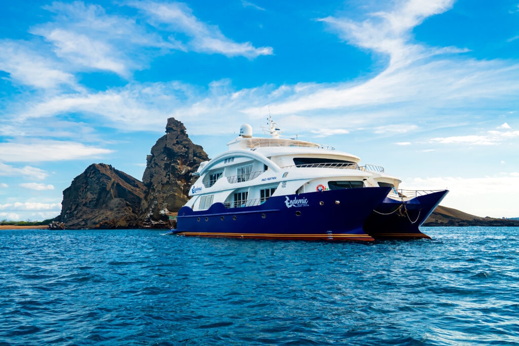 endemic-exterior5-scaled