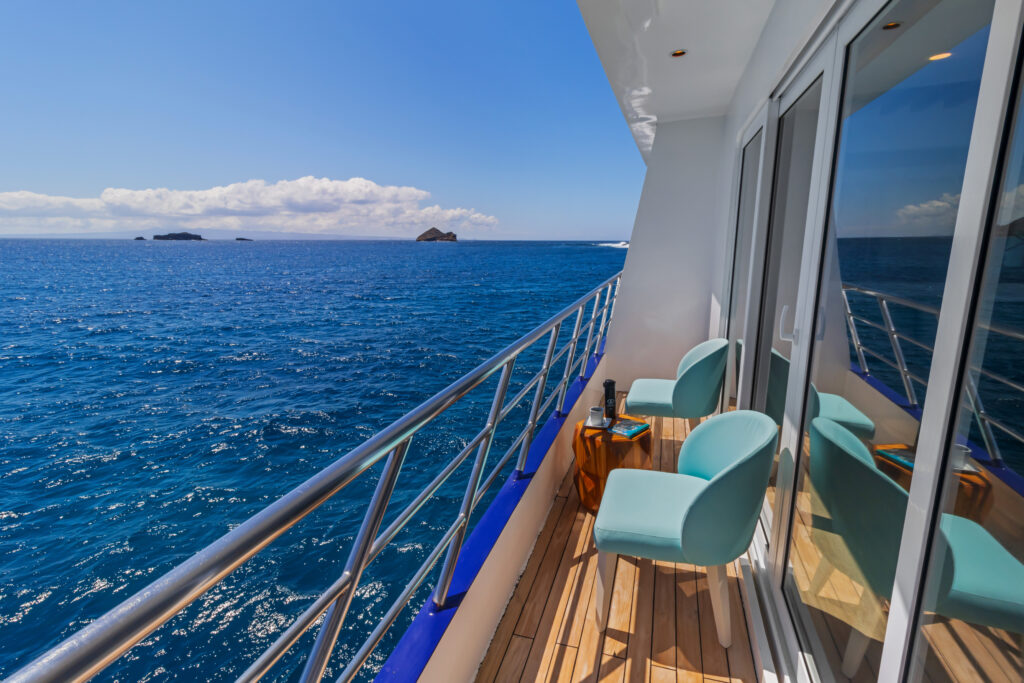 endemic-golden-suites2-scaled