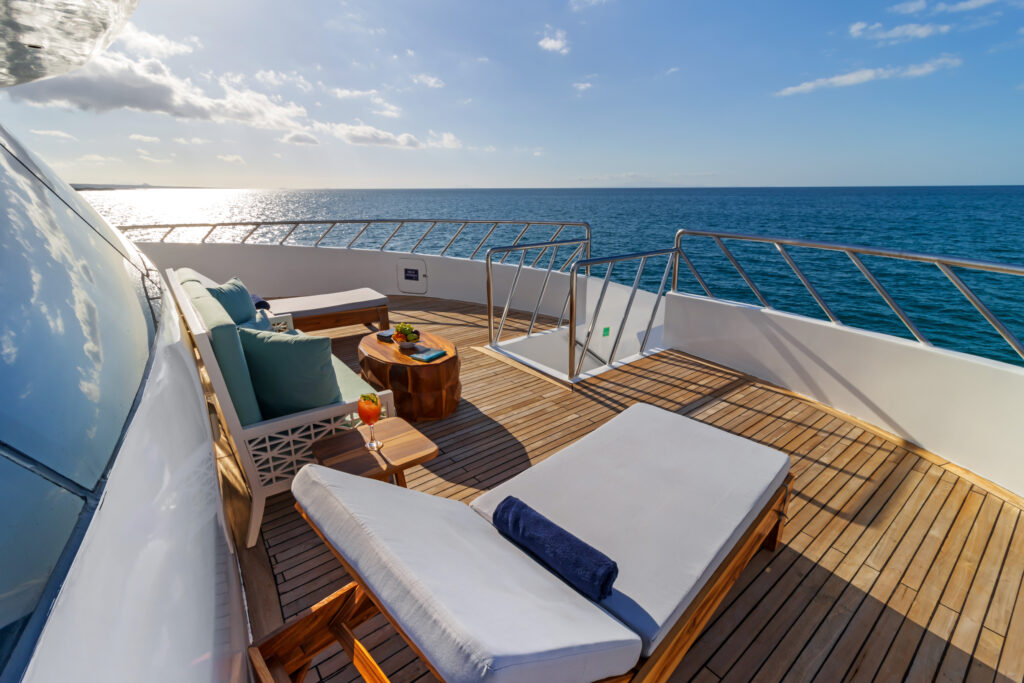 endemic-terraces4-scaled